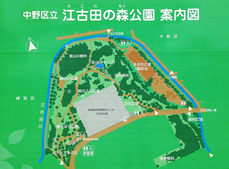 江古田の森公園案内図
