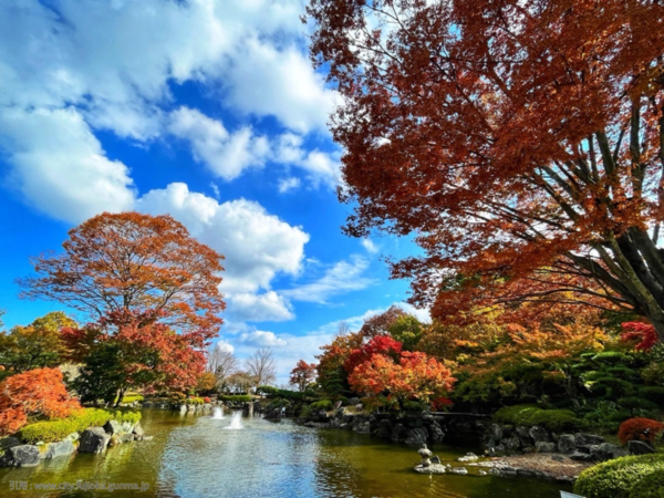 桜山公園の写真