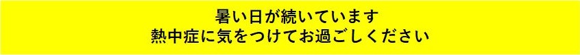 alert