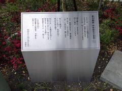 sengenhi