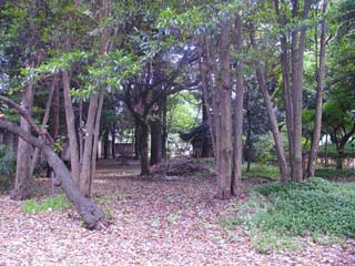 画像8