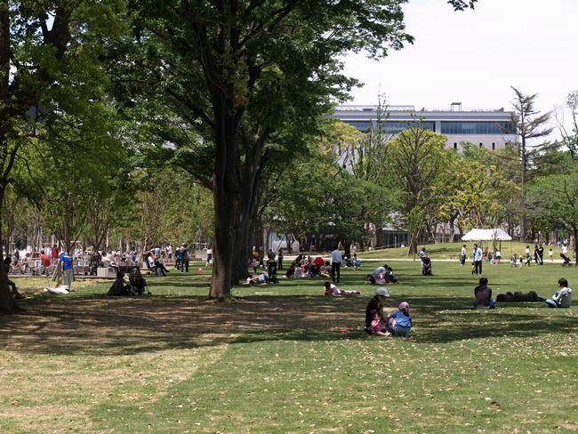 四季の森公園芝生